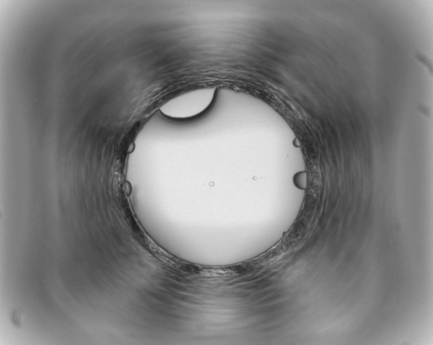 X0000094210707200710260933