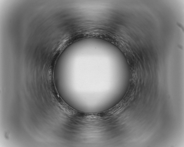 X0000094210708200710260933