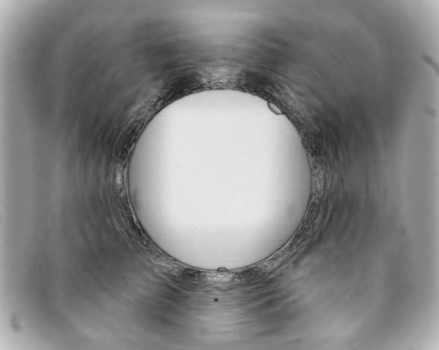 X0000094210709200710260933