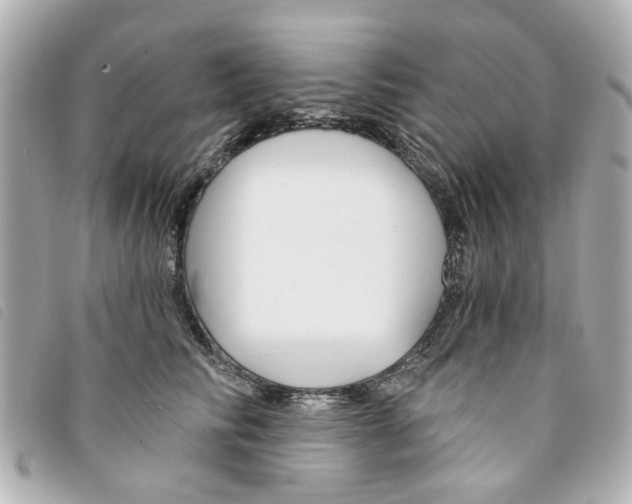 X0000094210710200710260933