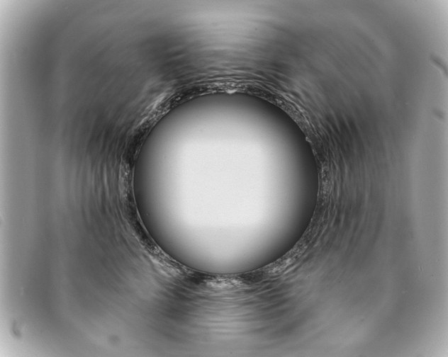 X0000094210712200710260933