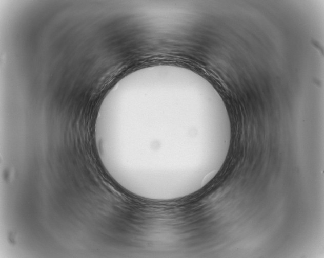 X0000094210713200710260933