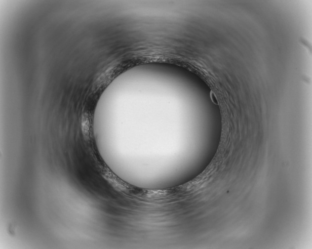 X0000094210720200710260933