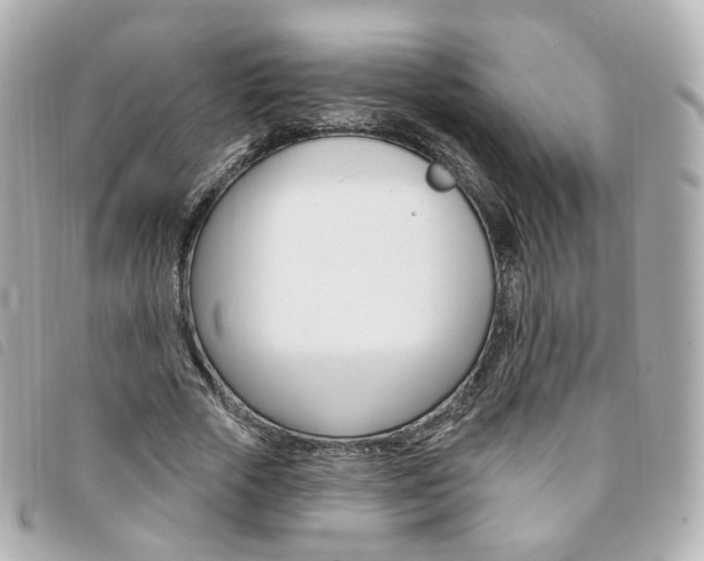 X0000094210729200710260932