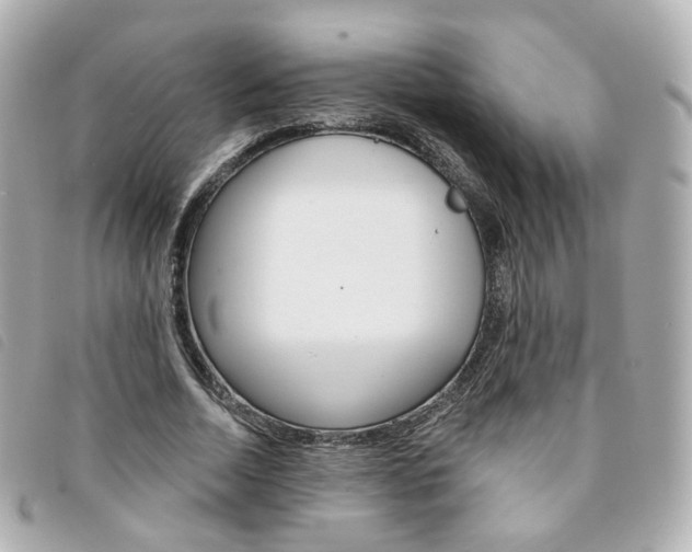 X0000094210730200710260932