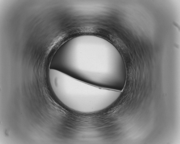 X0000094210731200710260932