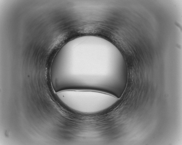 X0000094210735200710260933