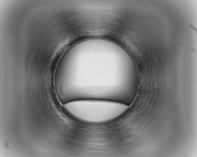 X0000094210736200710260933