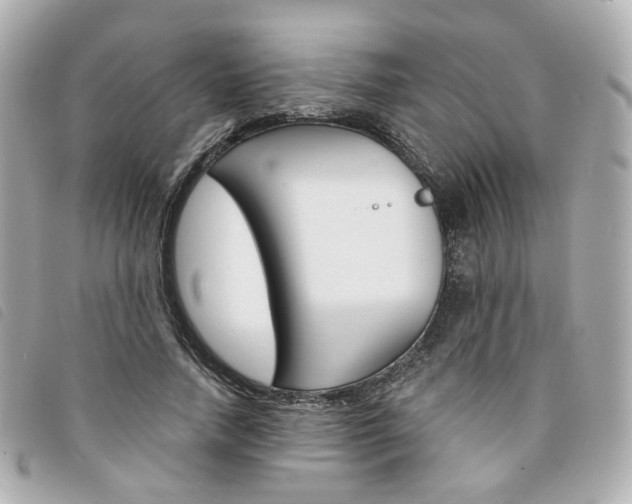 X0000094210738200710260933