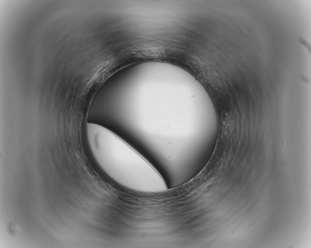 X0000094210739200710260933