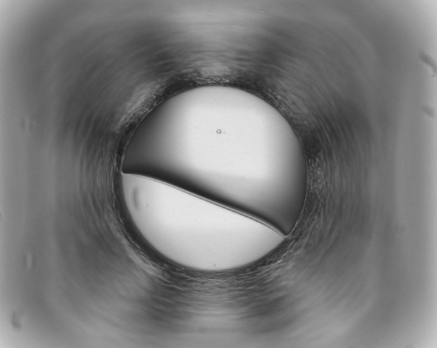 X0000094210742200710260933