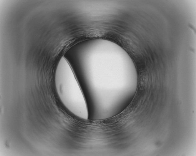 X0000094210743200710260933