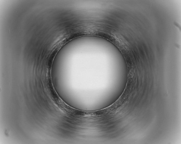X0000094210744200710260933