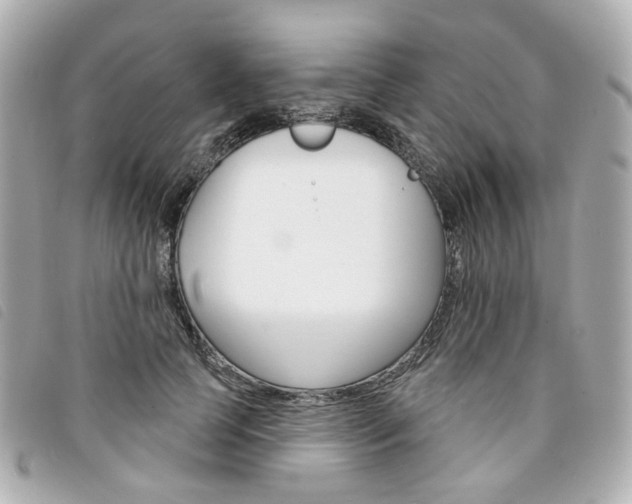 X0000094210745200710260933
