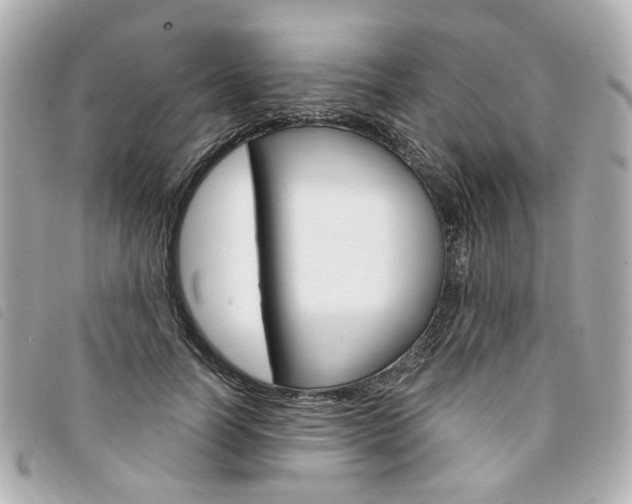 X0000094210746200710260933