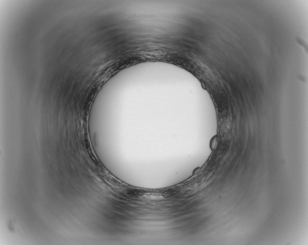 X0000094210749200710260933