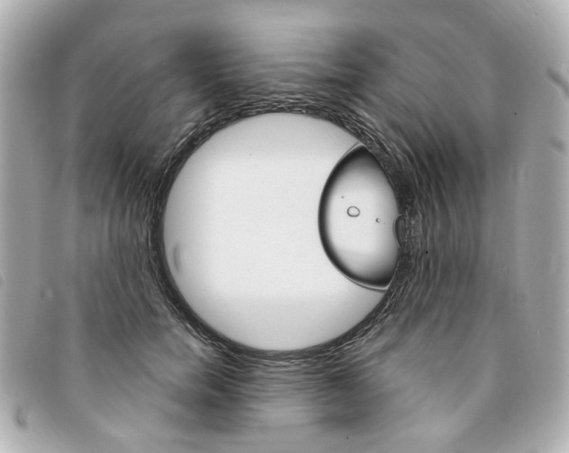 X0000094210750200710260933