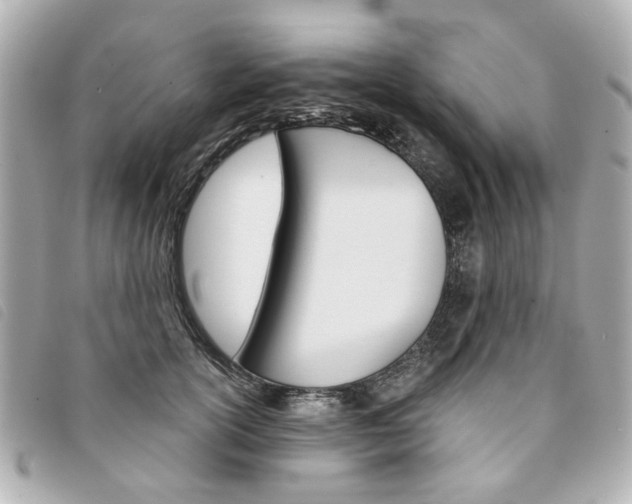 X0000094210754200710260933
