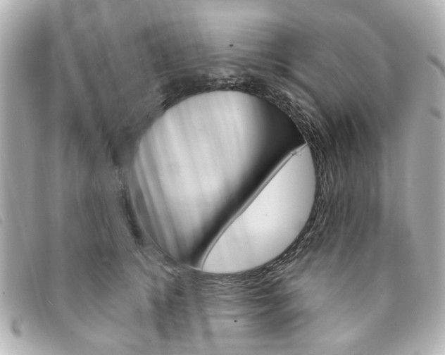 X0000094210756200710260933