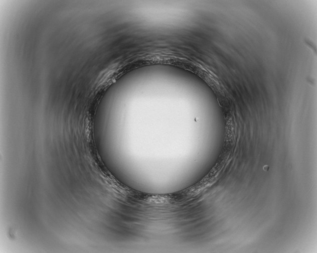 X0000094210762200710260933