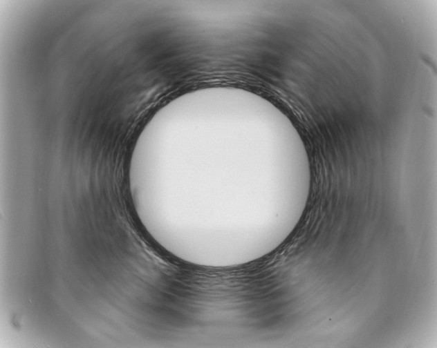 X0000094210764200710260933