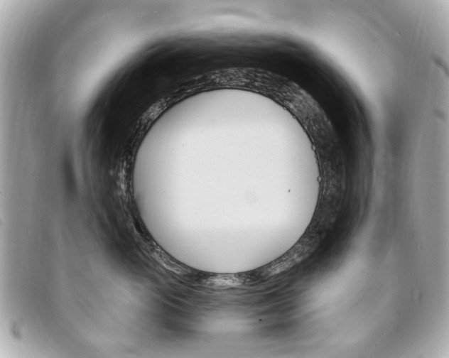 X0000094210765200710260933