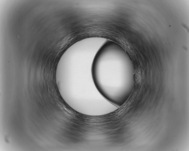 X0000094210766200710260933