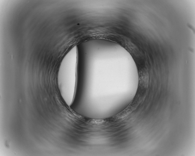 X0000094210767200710260933