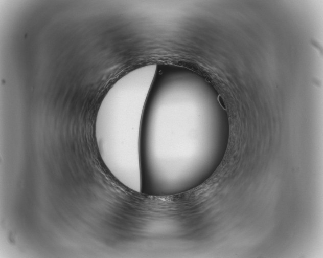 X0000094210768200710260933