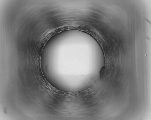X0000094210773200710260932