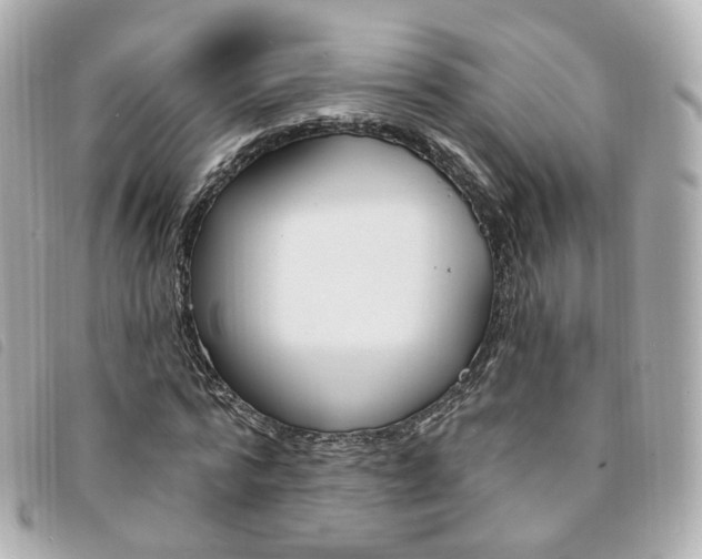 X0000094210776200710260932