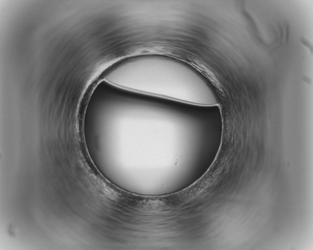 X0000094210784200710260932