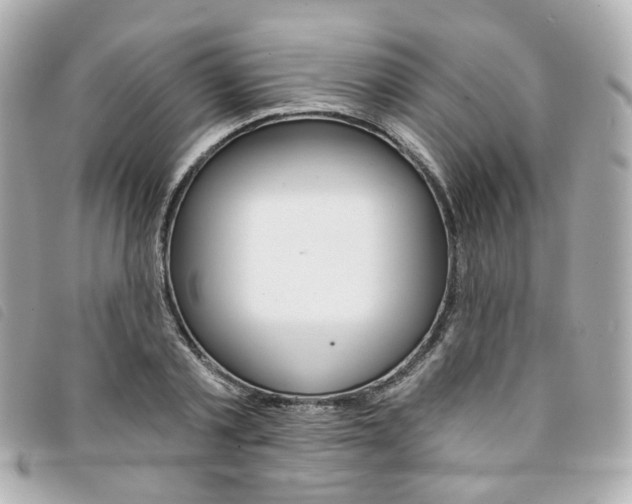 X0000094210789200710260932