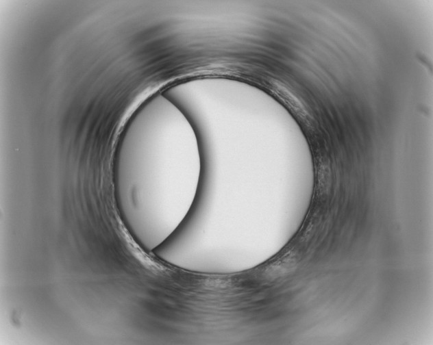 X0000094210800200710260932