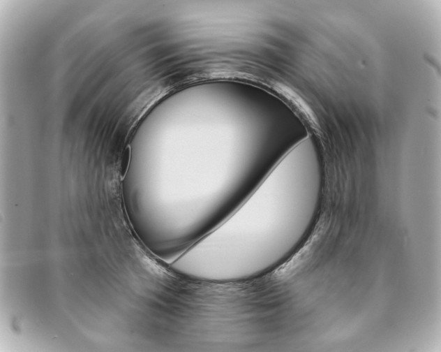 X0000094210801200710260932