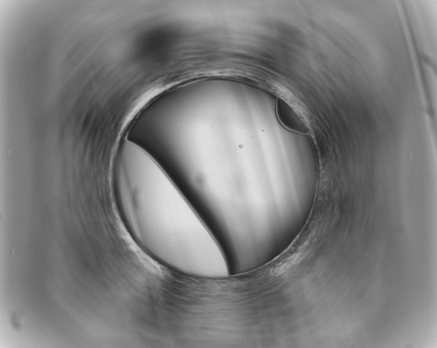 X0000094210803200710260932