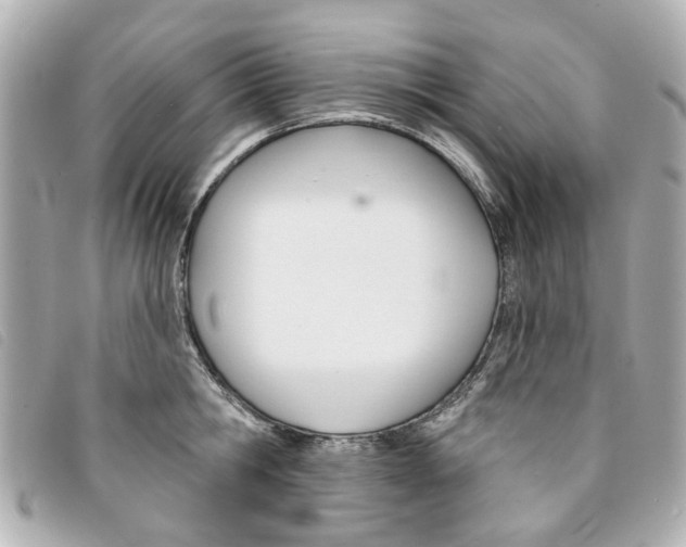 X0000094210806200710260932