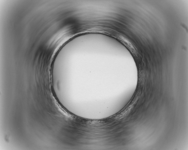 X0000094210808200710260932