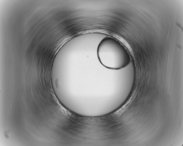 X0000094210809200710260932
