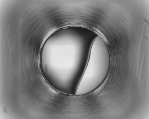 X0000094210812200710260931
