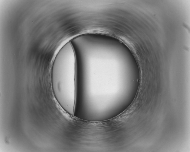 X0000094210816200710260931