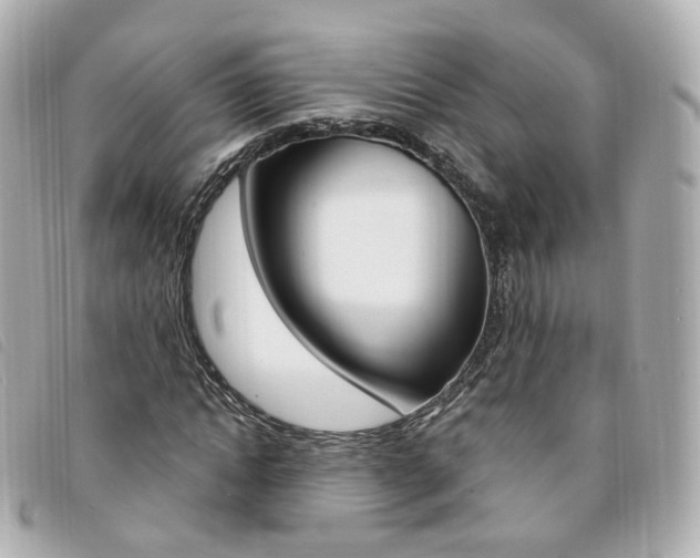 X0000094210822200710260931