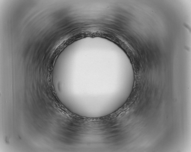 X0000094210823200710260931