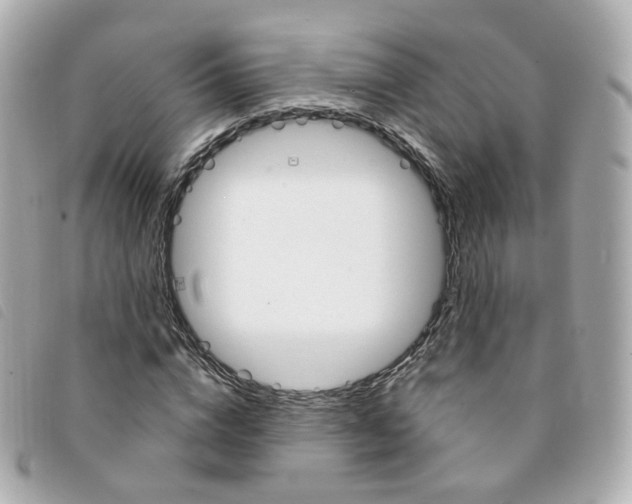 X0000094210824200710260931