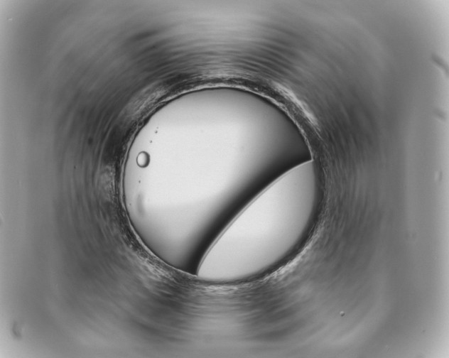 X0000094210825200710260931
