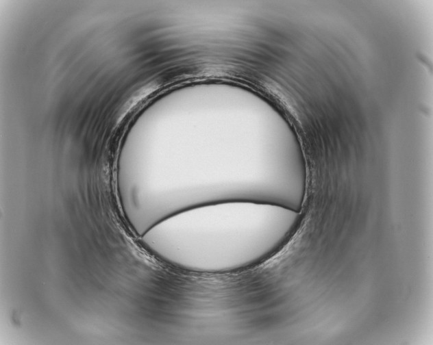 X0000094210827200710260931