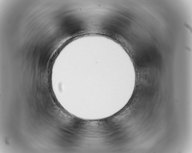 X0000094210828200710260931