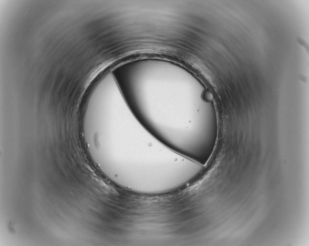 X0000094210829200710260931