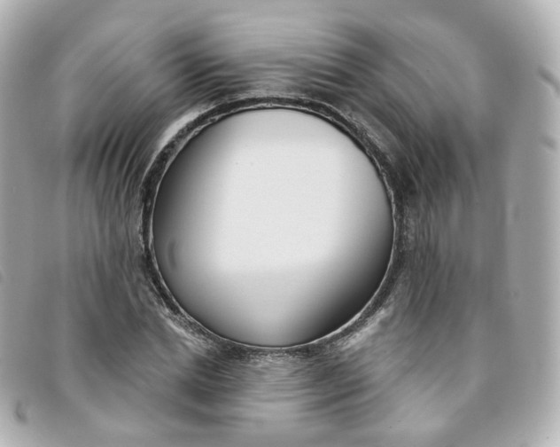 X0000094210830200710260931