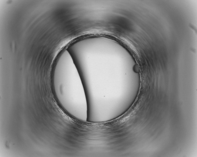 X0000094210831200710260931